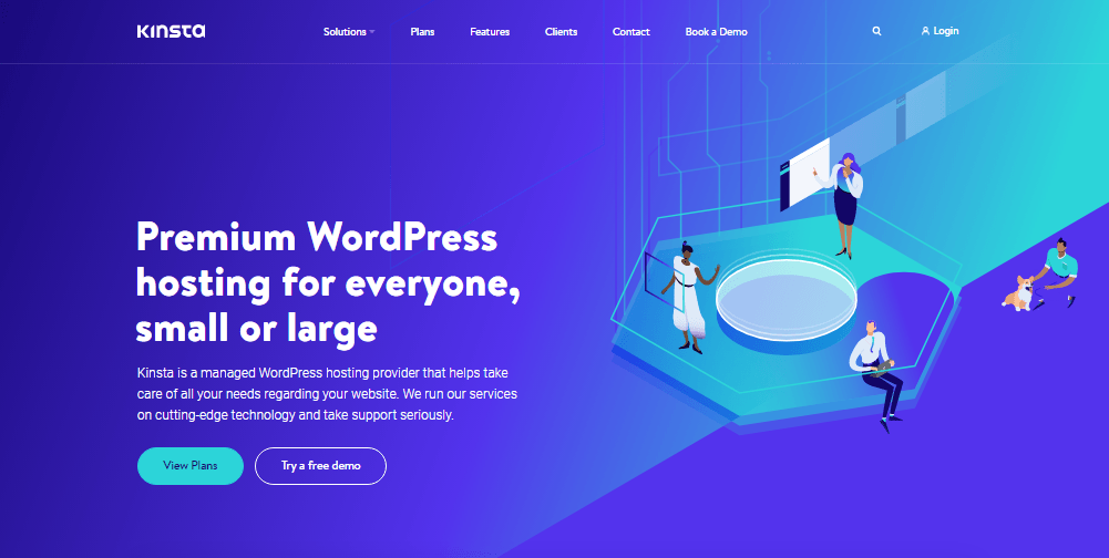 Kinsta Managed WordPress hosting provider