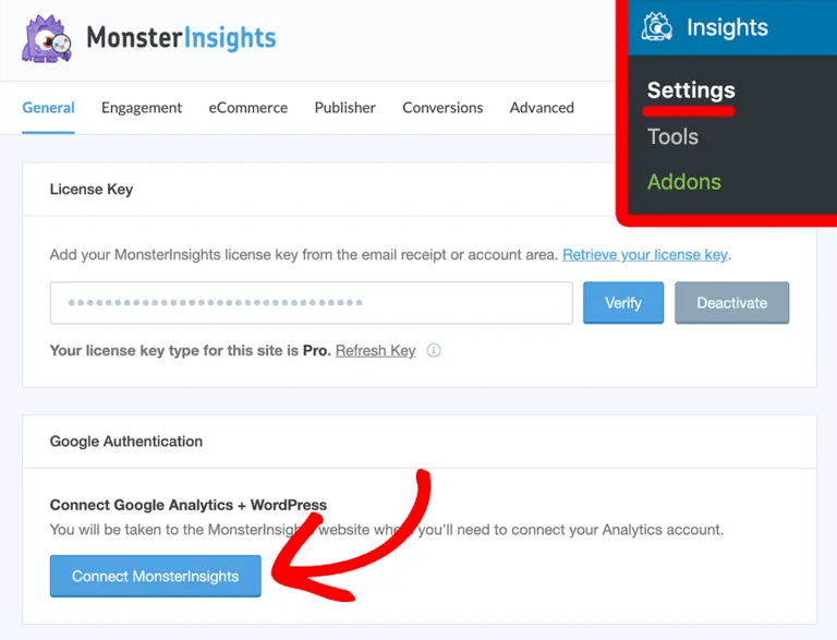 MonsterInsights settings connect to MonsterInsights