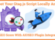 Host Your Gtag.js Script Locally And TruSEO Score With AIOSEO Plugin Integration