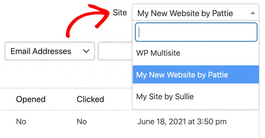 Multisite Email Log In WordPress