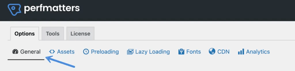 Perfmatters options tab go to general menu
