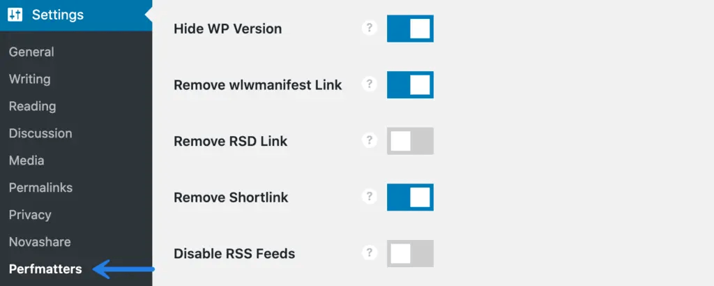 Perfmatters plugin settings