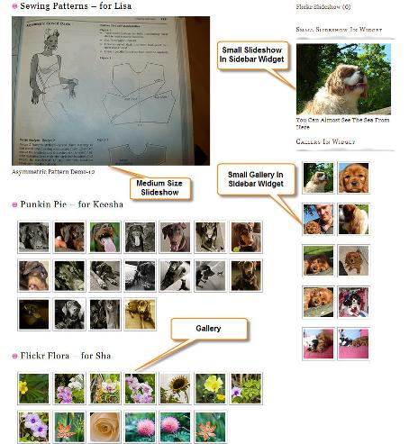 An Example Of More Than One Flickr Gallery And More Than One Flickr Sideshow Action On a Single Page