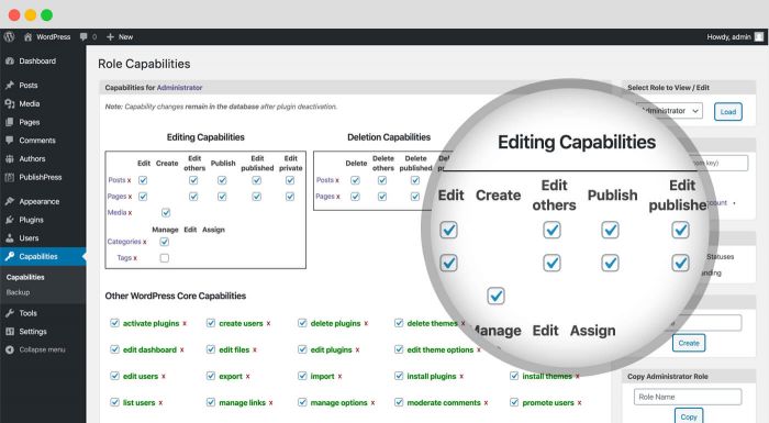 Customize And Control User Role Capabilities Or Permissions