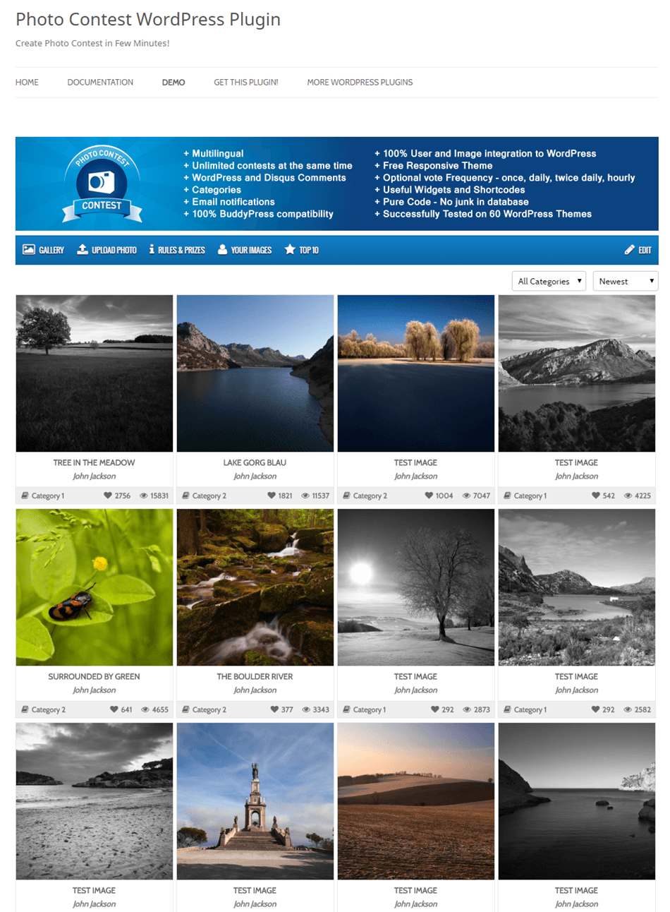 Photo Contest WordPress Plugin Demo Screenshot