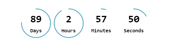 Widget Countdown Timer Front end Priview