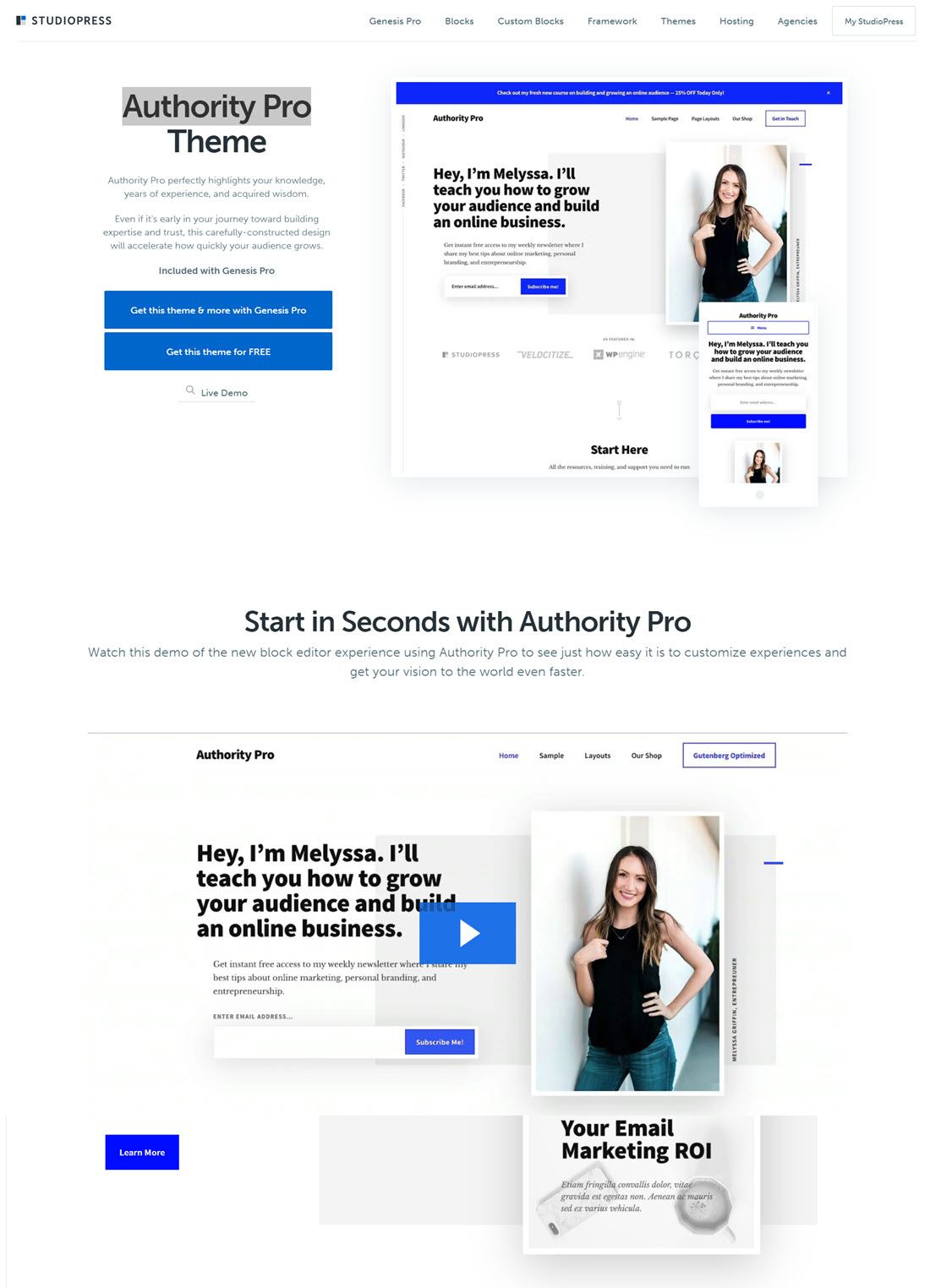 Authority Pro Lawyer WordPress Themes Screenshot