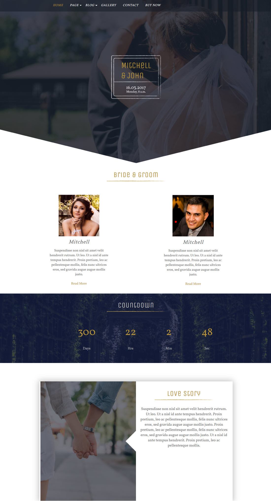 BB Wedding Bliss Theme For WordPress Example