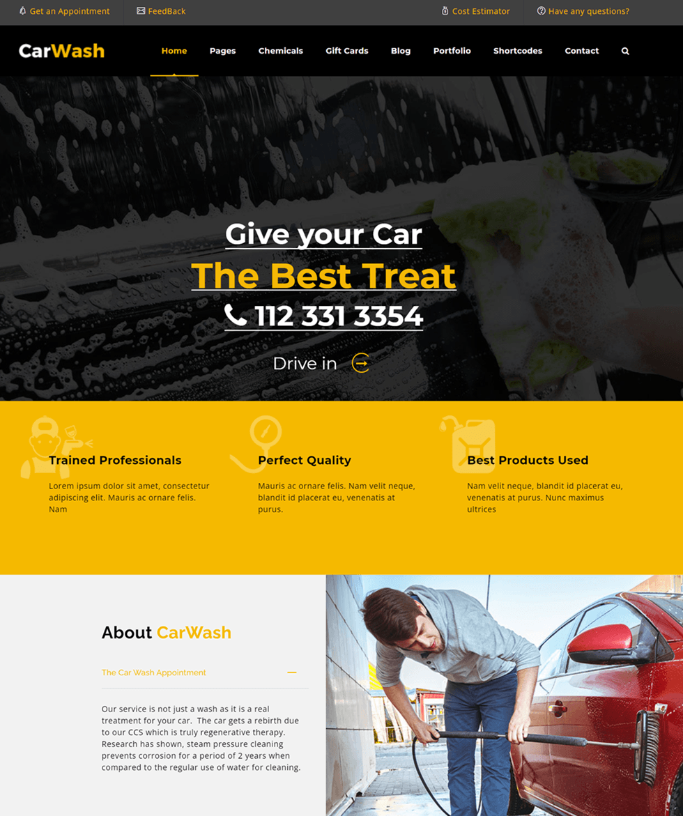 Car Wash Auto Spa WordPress Theme ScreenShot