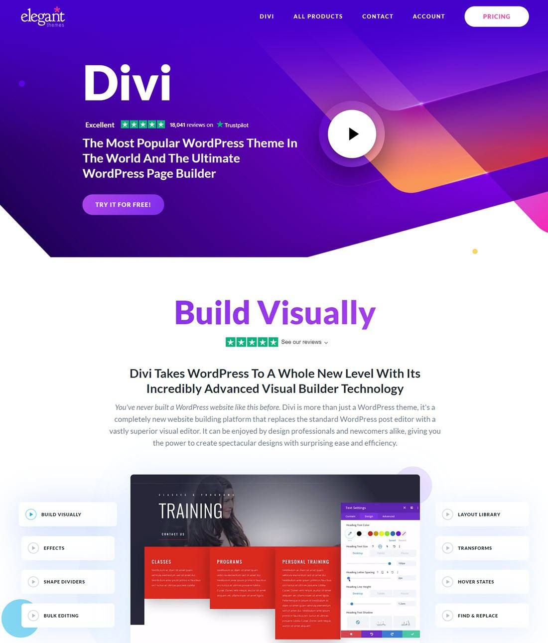 Divi Music WordPress Themes Demo