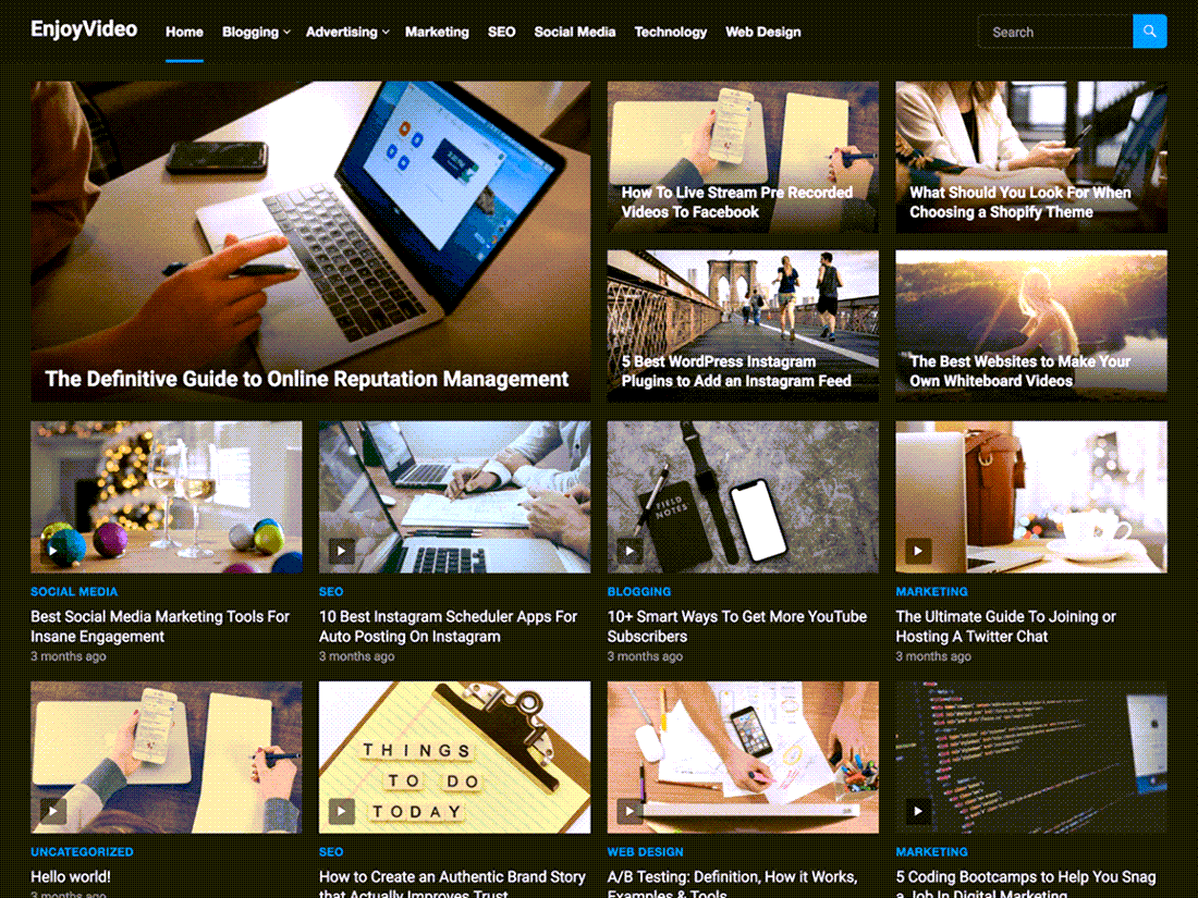 EnjoyVideo Video WordPress Themes ScreenShot