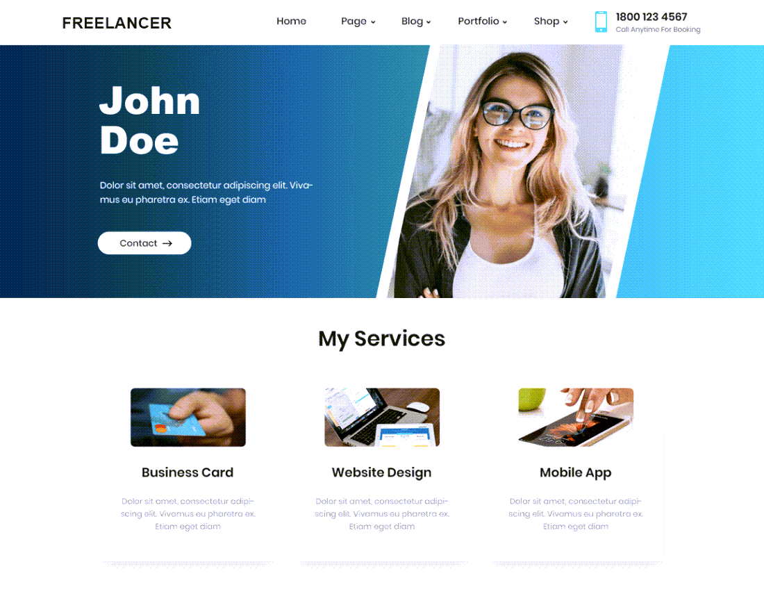 Freelancer Plus Theme For WordPress ScreenShot