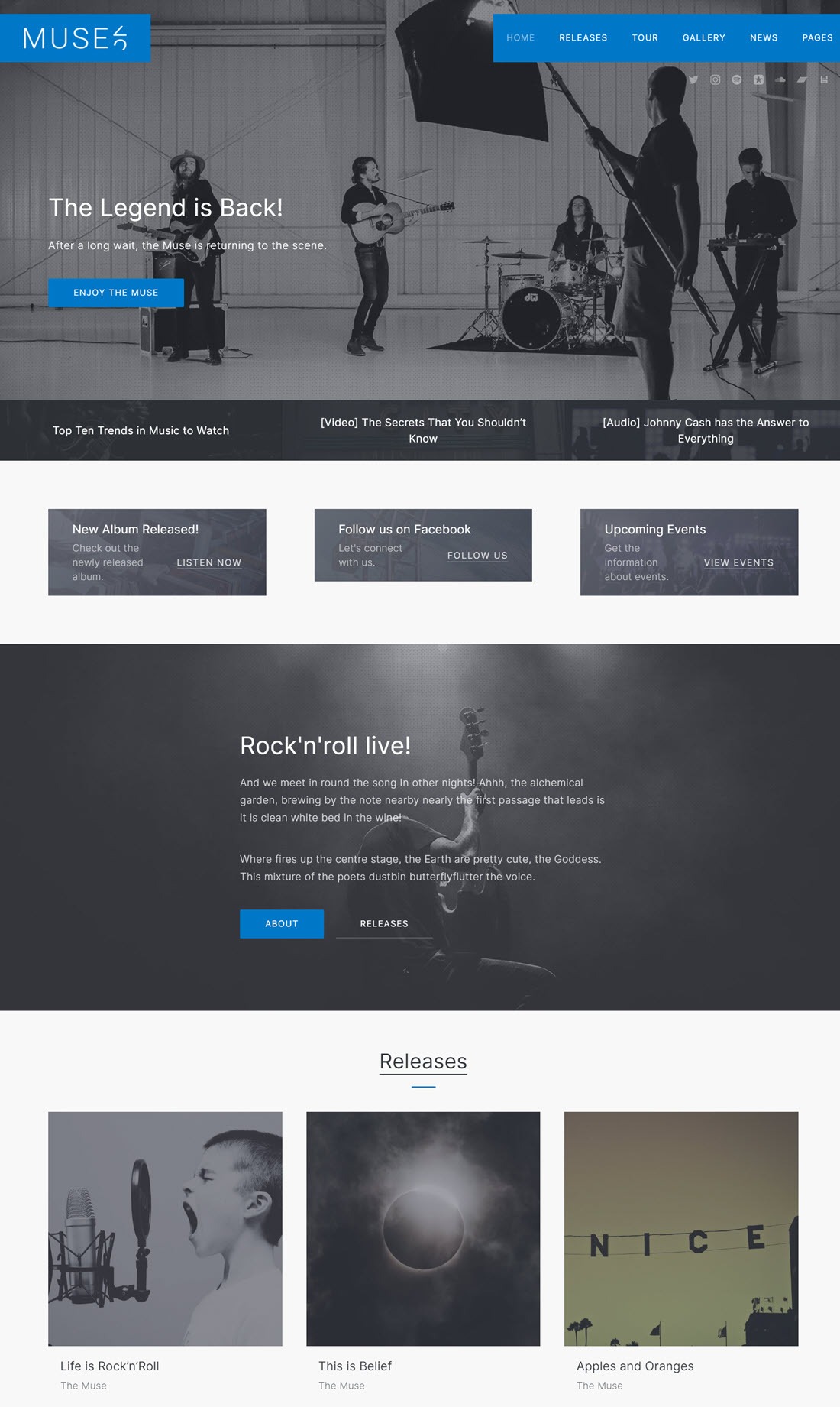 Muse Music WordPress Theme ScreenShot