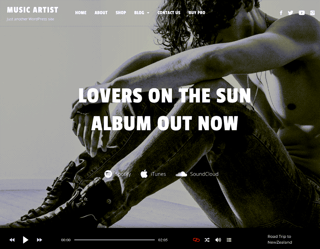 Music Artist Theme for WordPress Demo