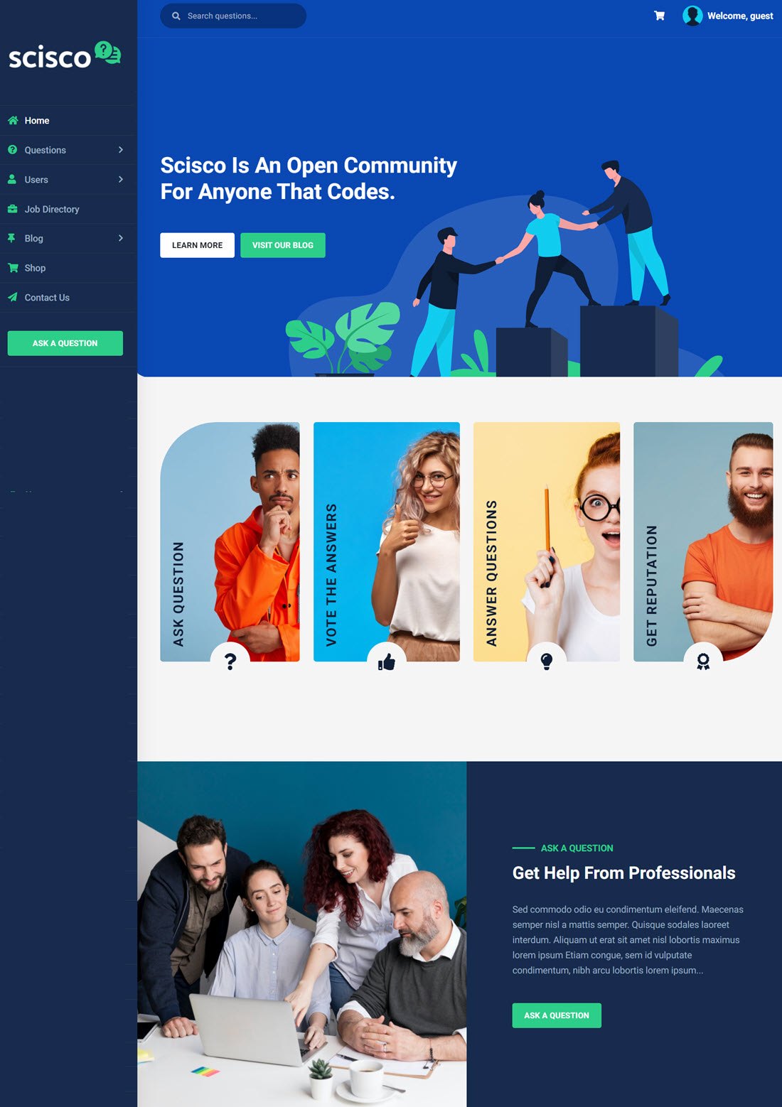 Scisco Questions and Answers WordPress Theme Demo