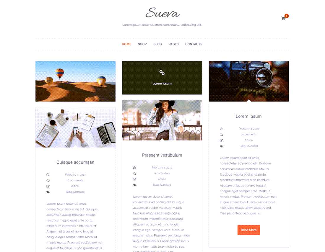 SuevaFree Pinterest Theme For WordPress Demo