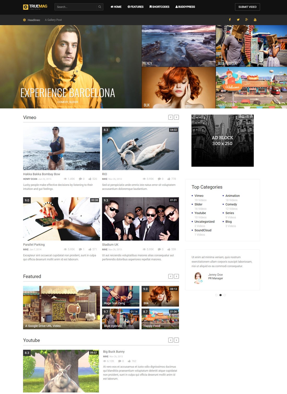 True Mag WordPress Theme for Video and Magazine Demo