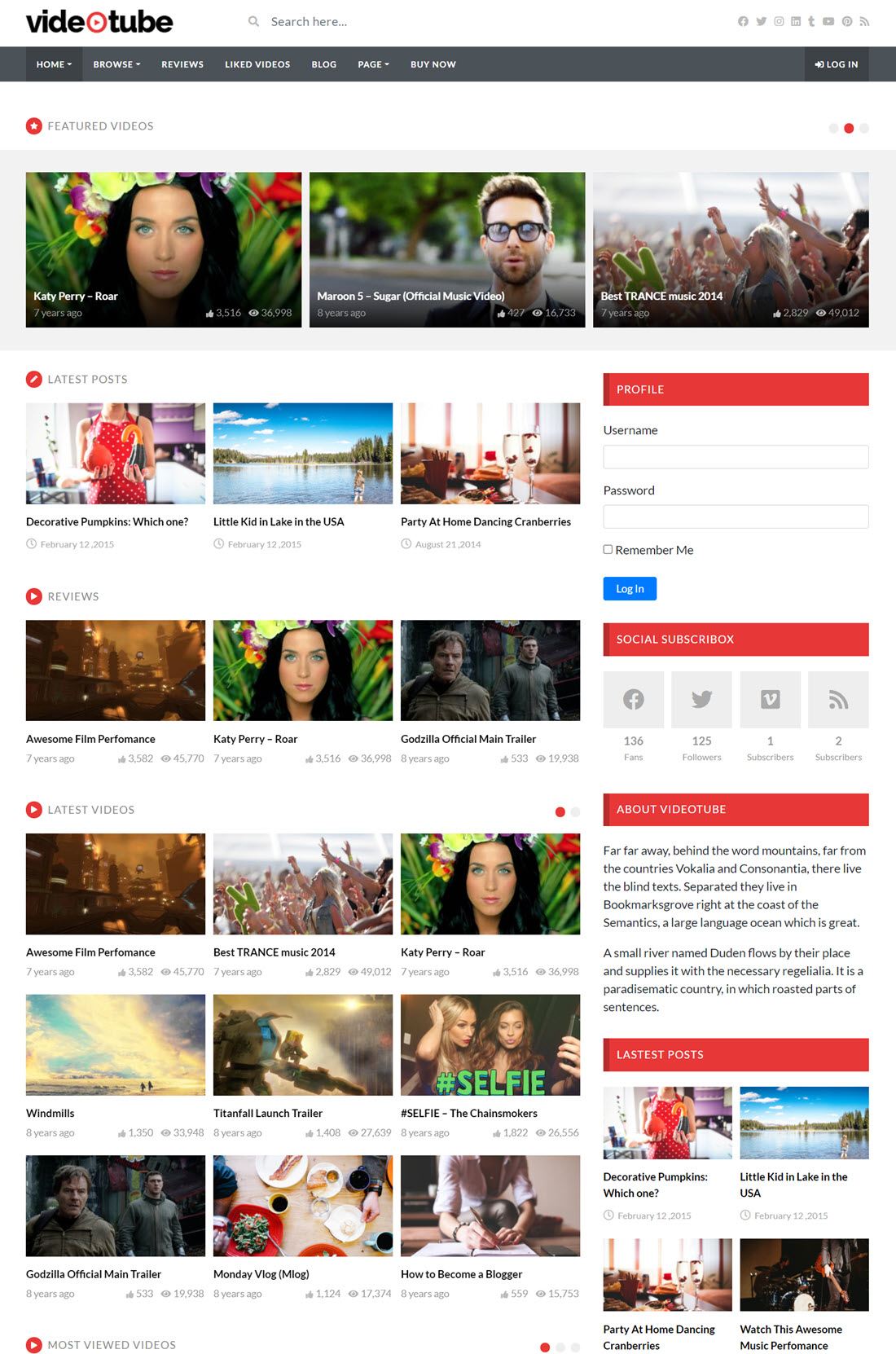VideoTube A Responsive Video WordPress Theme Screenshot