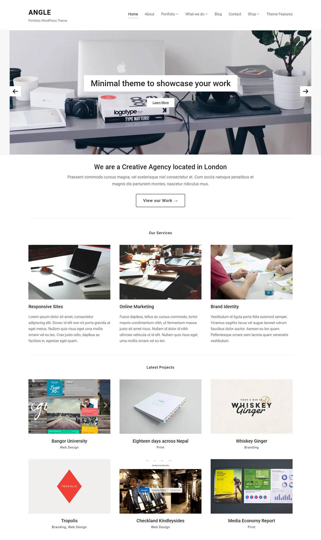 Angle Portfolio WordPress Themes Example