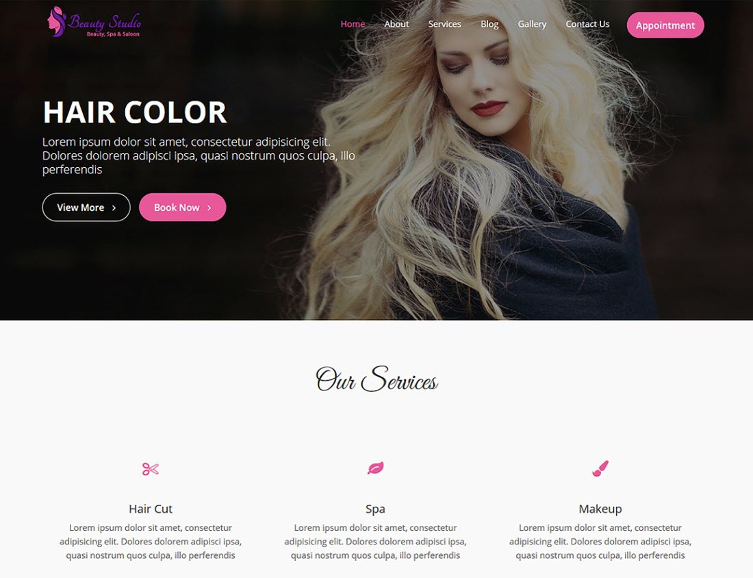 Beauty Studio WordPress Themes Screenshot