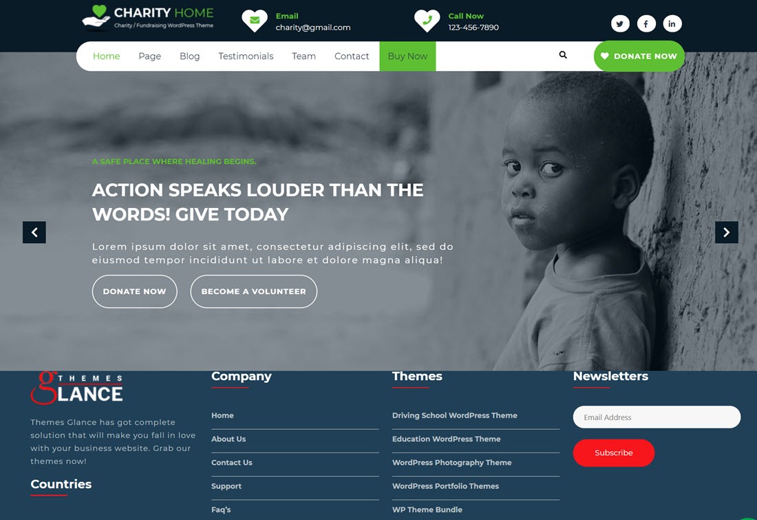 Charity Fundraiser WordPress Themes