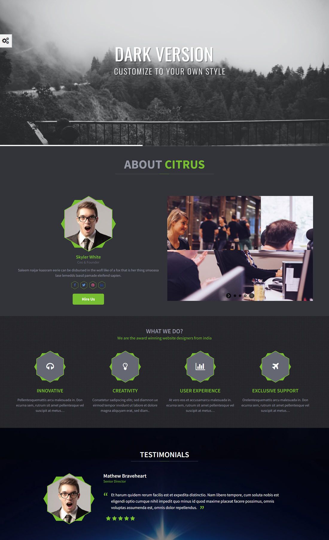 Citrus WordPress One Page Theme Screenshot