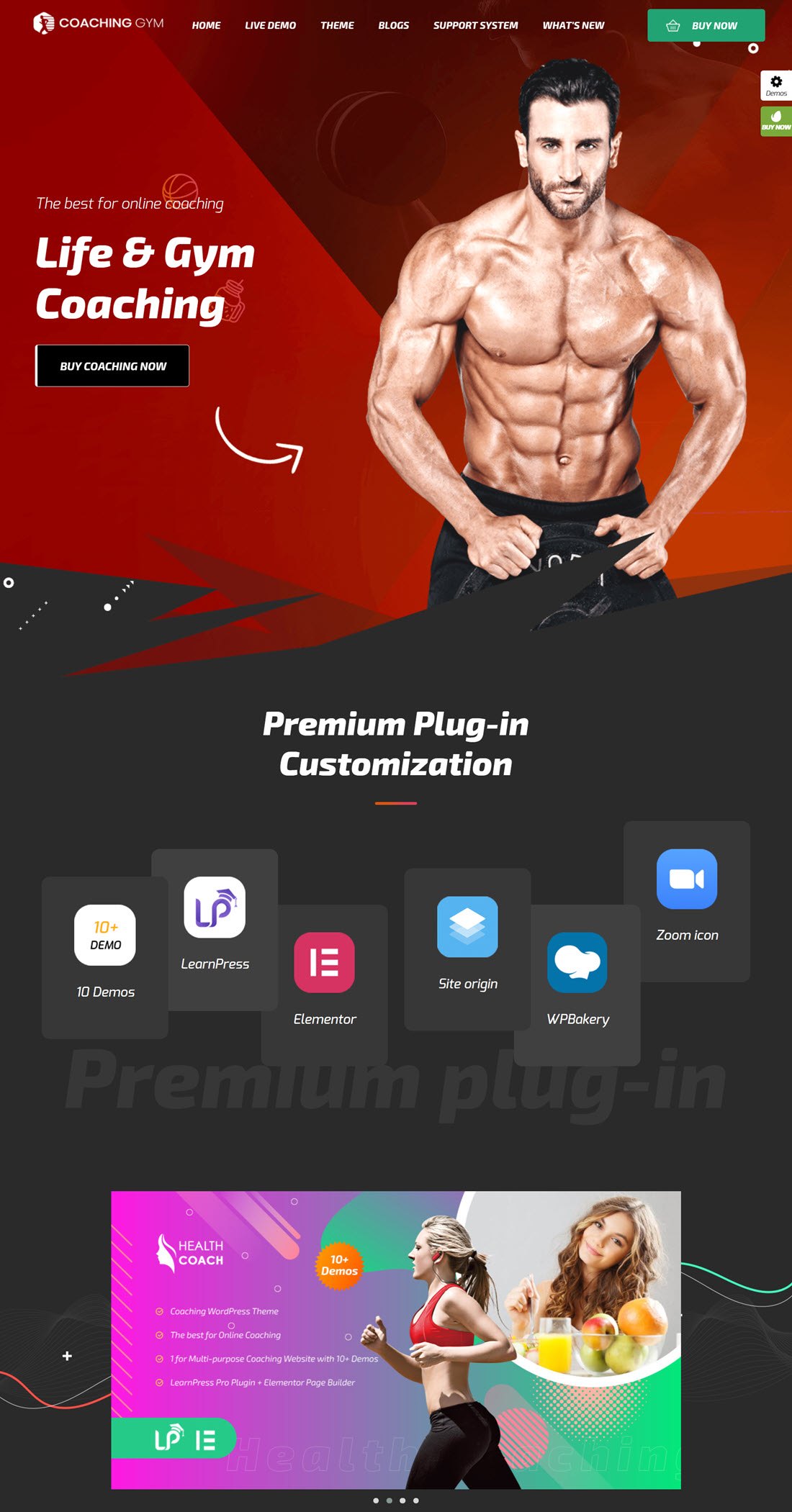 Coaching Life & Fitness Coaching WordPress Theme Demo