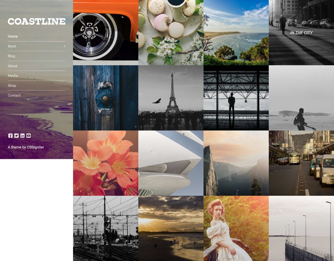 Coastline Portfolio WordPress Themes Demo