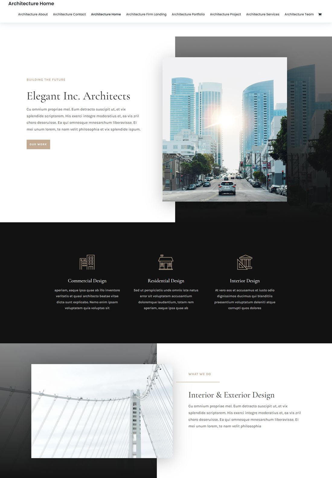 Divi Architect WordPress Theme Screenshot