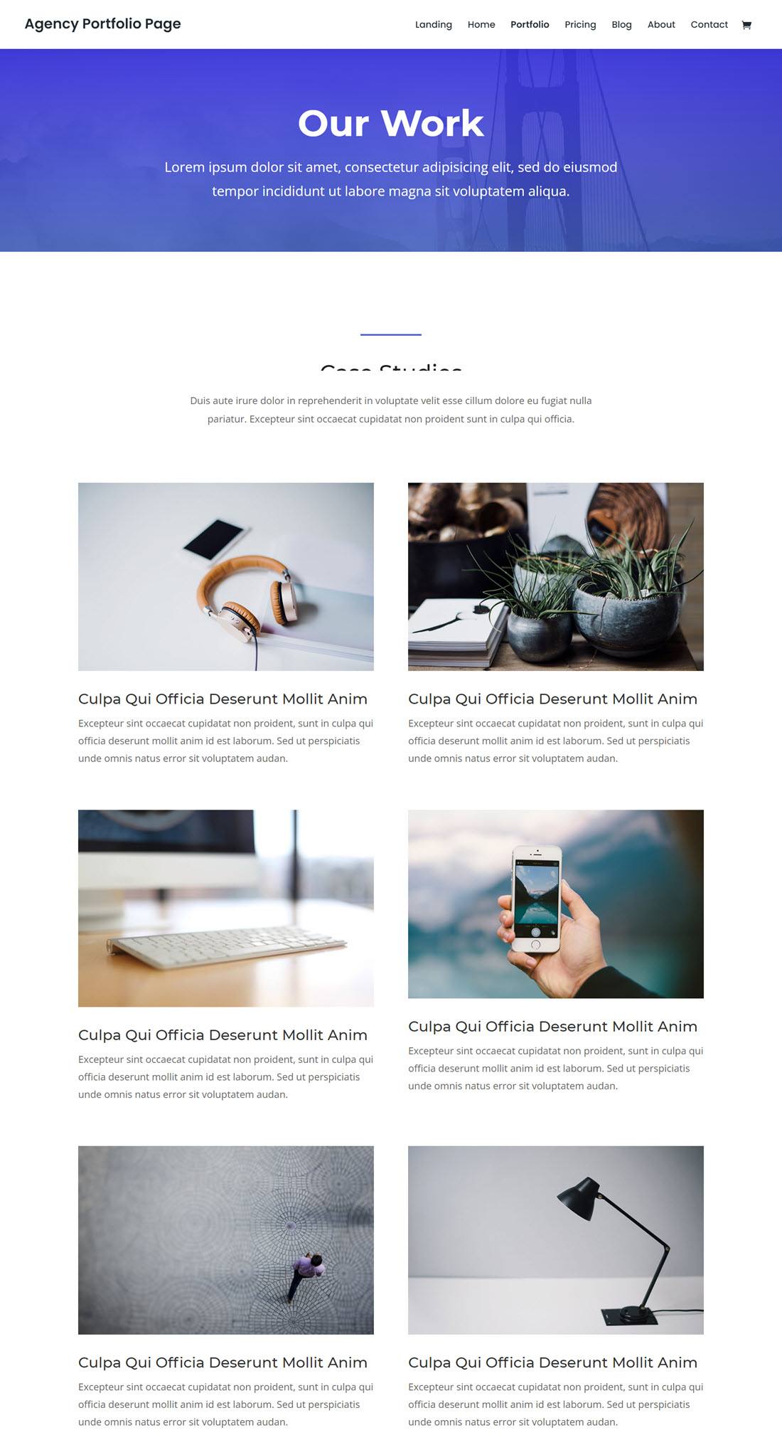 Divi Portfolio WordPress Themes Screenshot