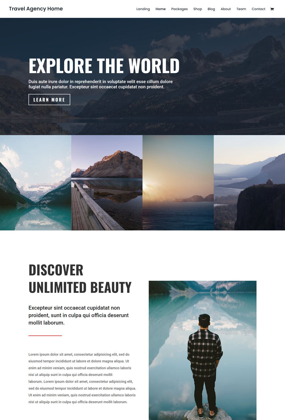 Divi Travel WordPress Themes Screenshot