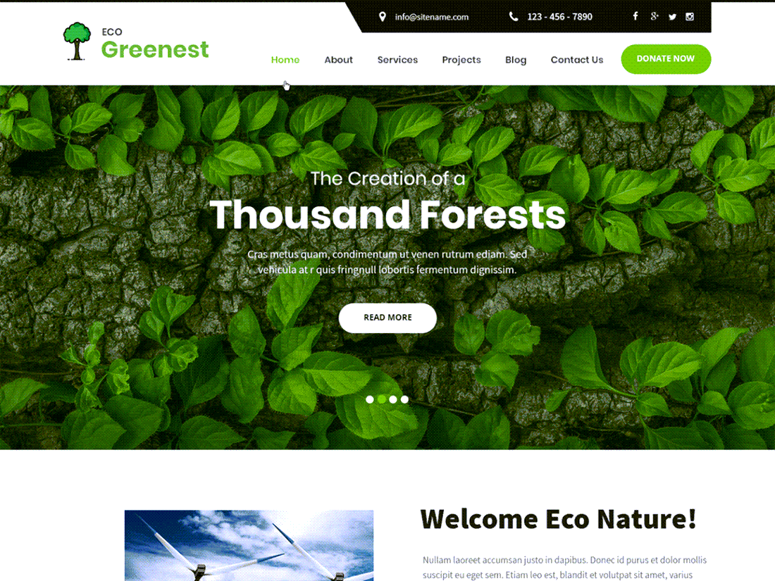 Eco Greenest Lite theme for WordPress Example