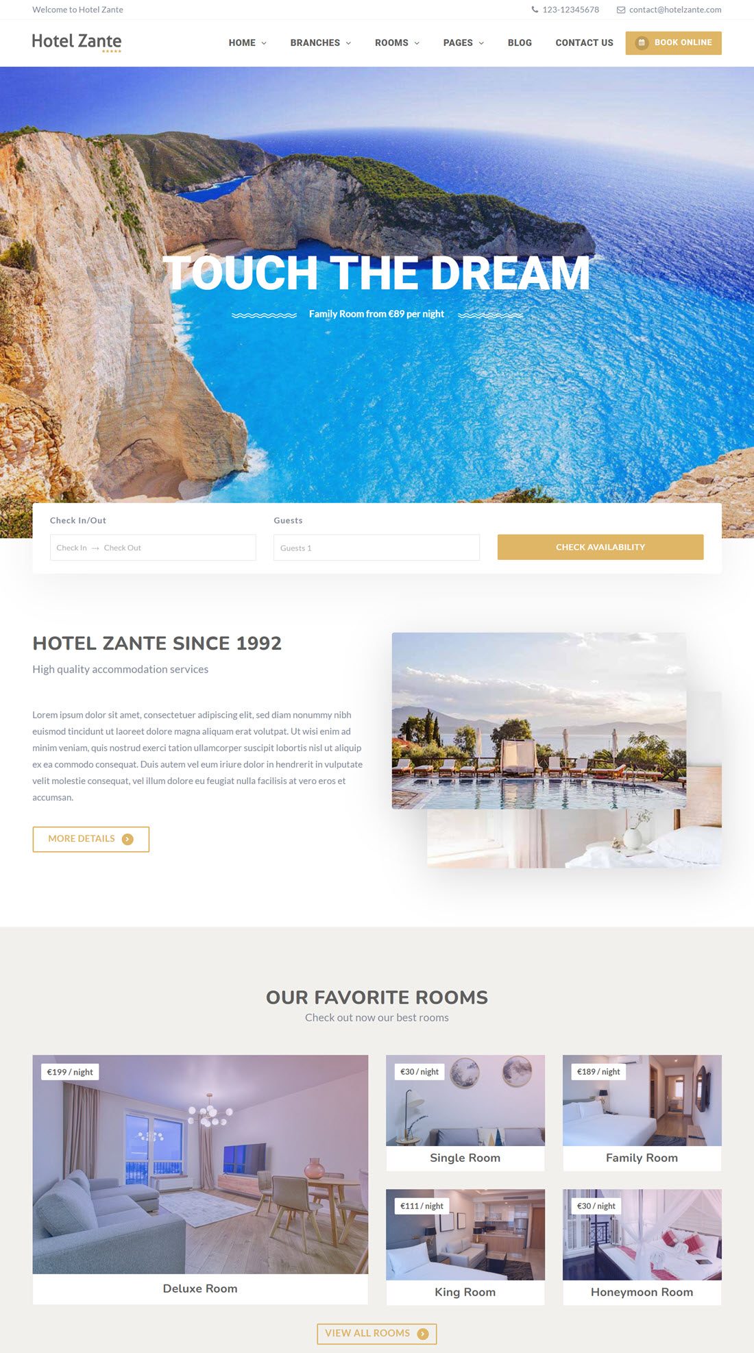Hotel Zante Hotel WordPress Themes Demo