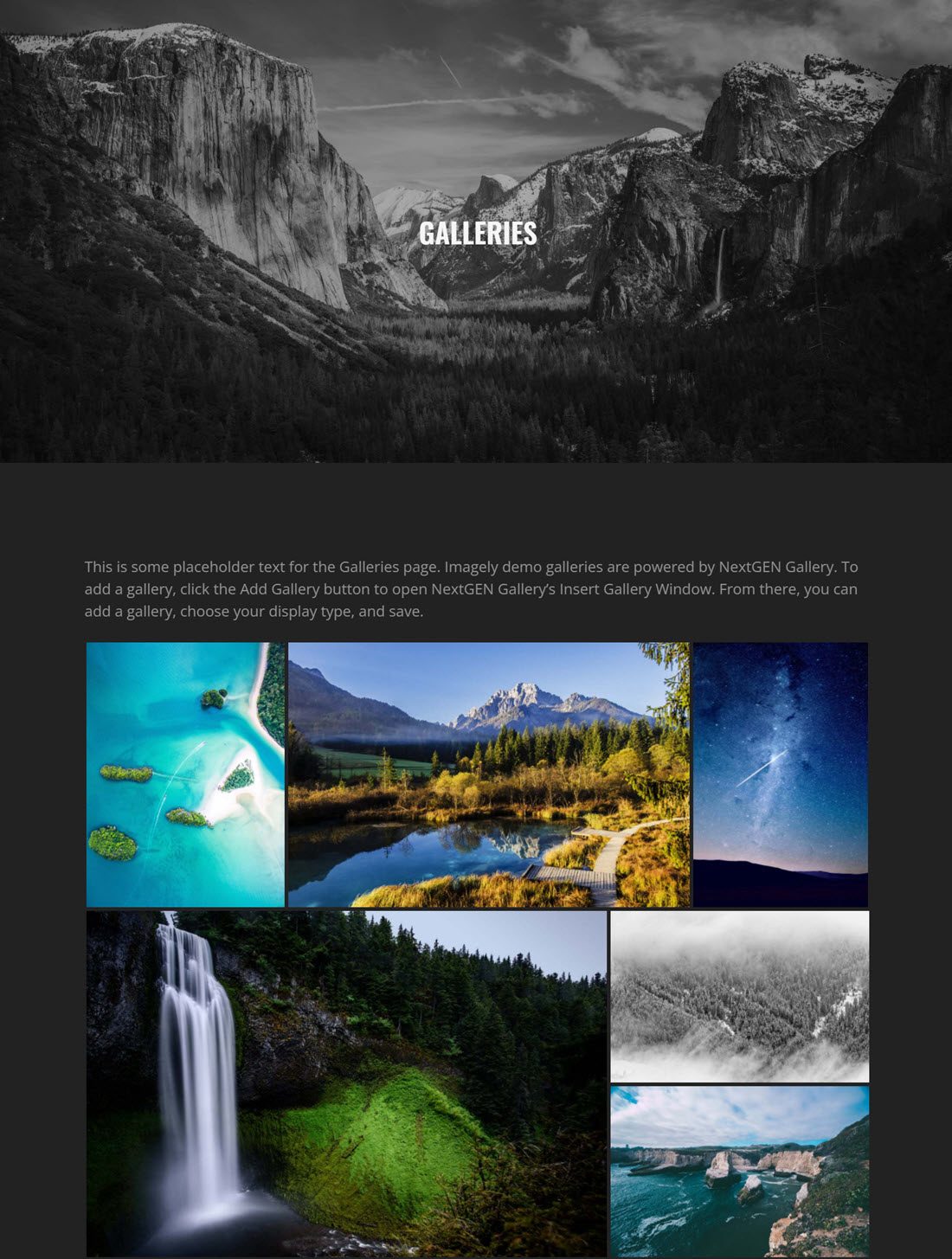Imagely Photography WordPress Themes Demo