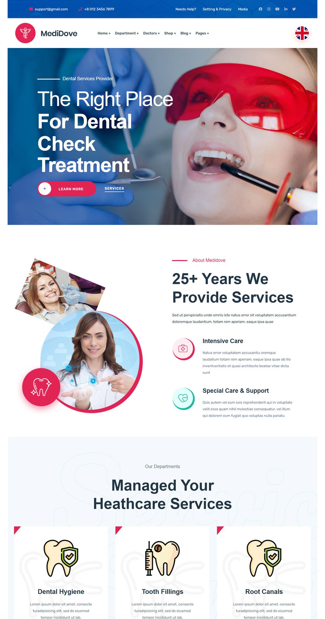 MediDove Dental WordPress Themes Example