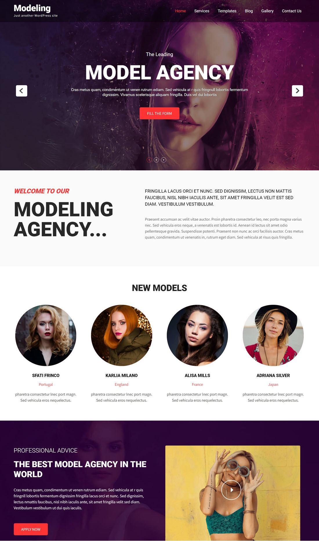 Modeling Lite WordPress theme Example