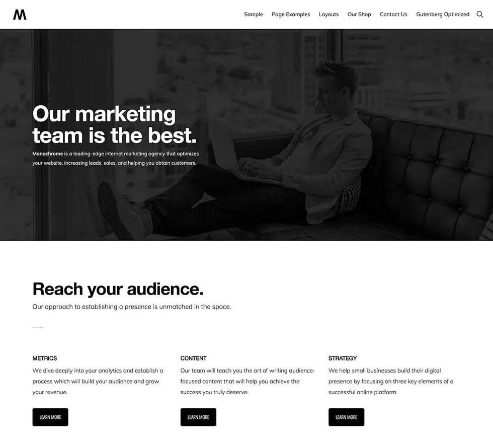 Monochrome App Showcase WordPress Themes Screenshot