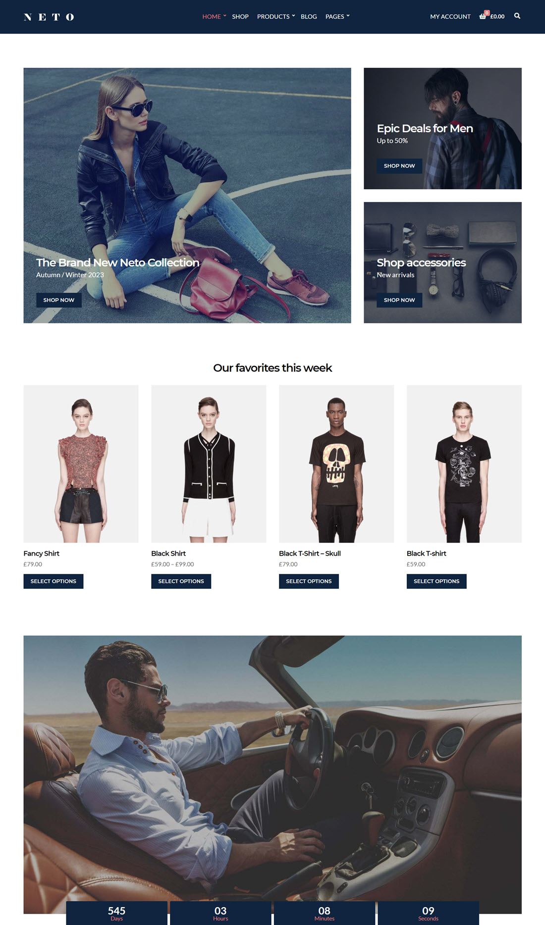 Neto eCommerce WordPress Themes Example