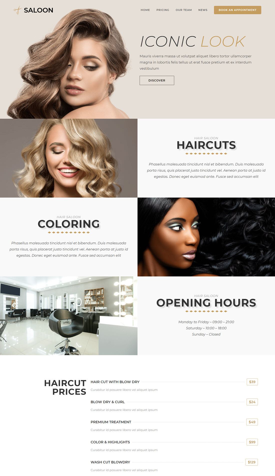 OceanWP Salon WordPress Themes Screenshot