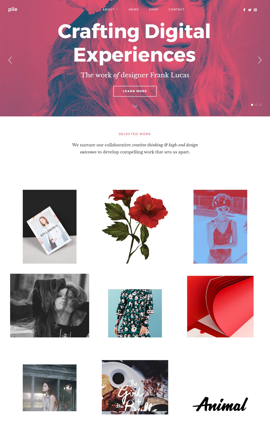 Pile Portfolio WordPress Themes Example