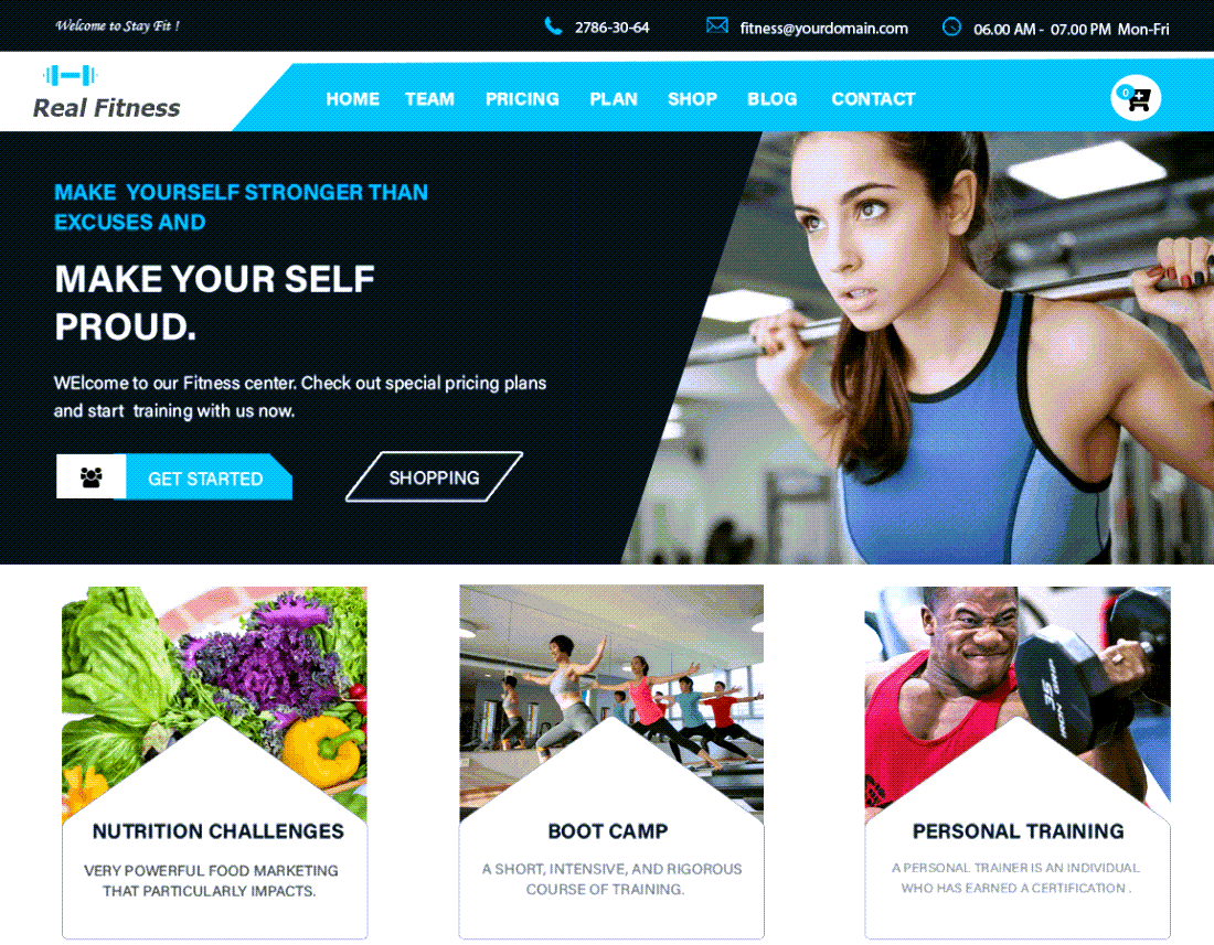 Real Fitness Theme For WordPress Example