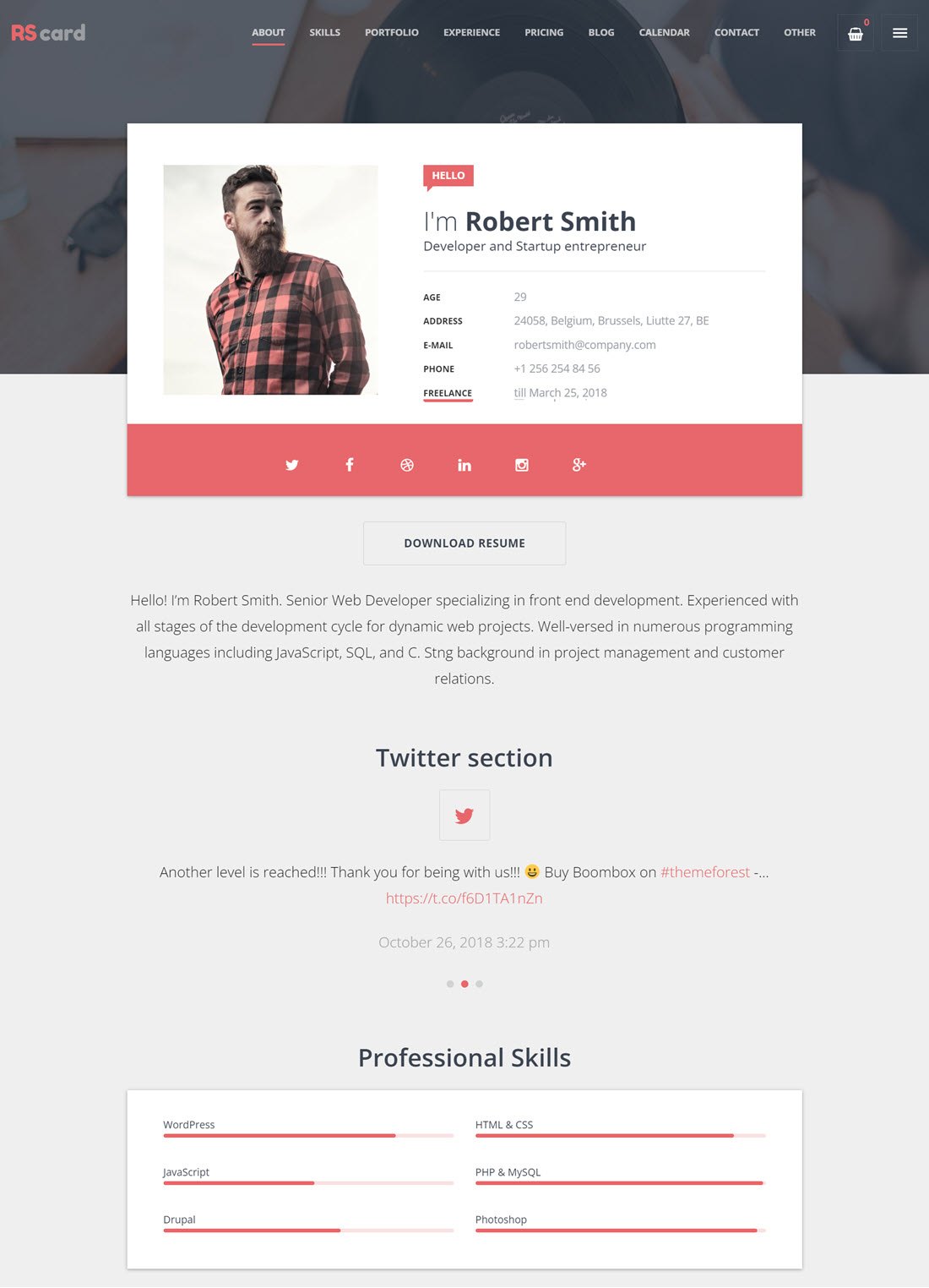 Resume CV WordPress Themes Screenshot