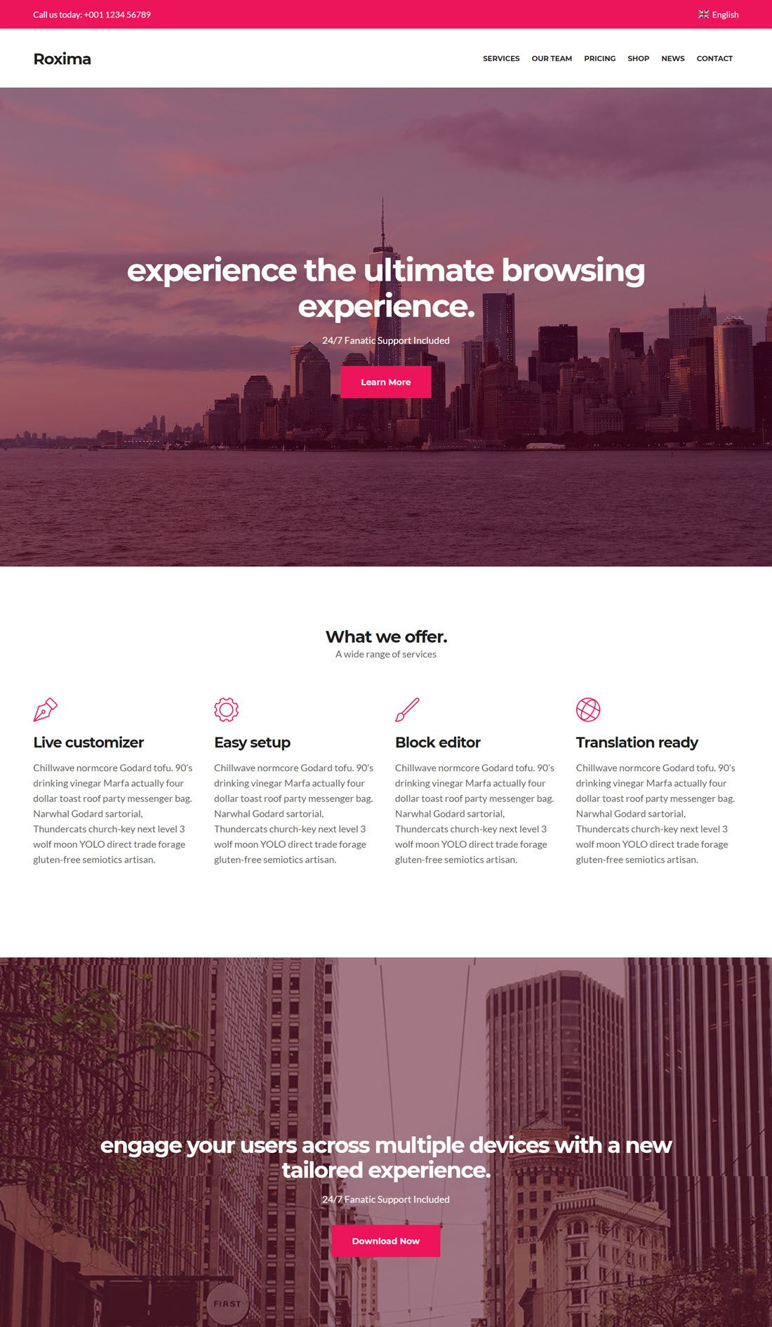 Roxima One Page Parallax WordPress Themes Example