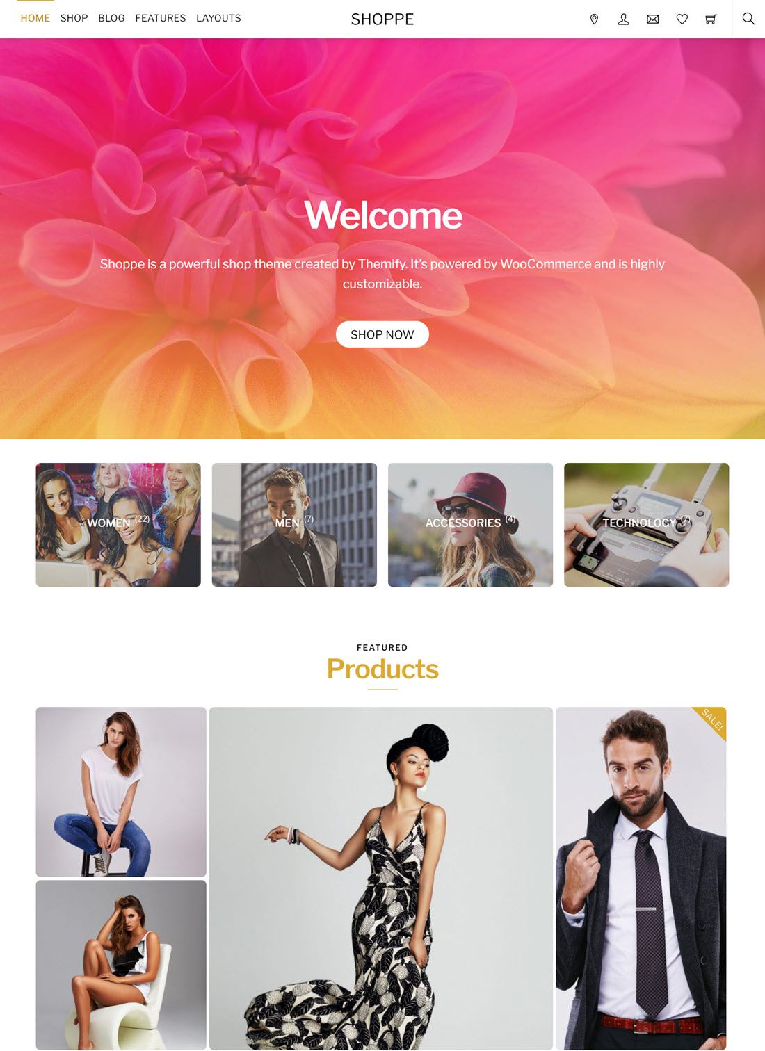 Shoppe eCommerce WordPress Themes Example