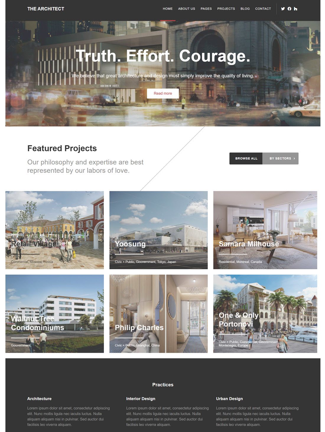 The Architect WordPress Theme Example