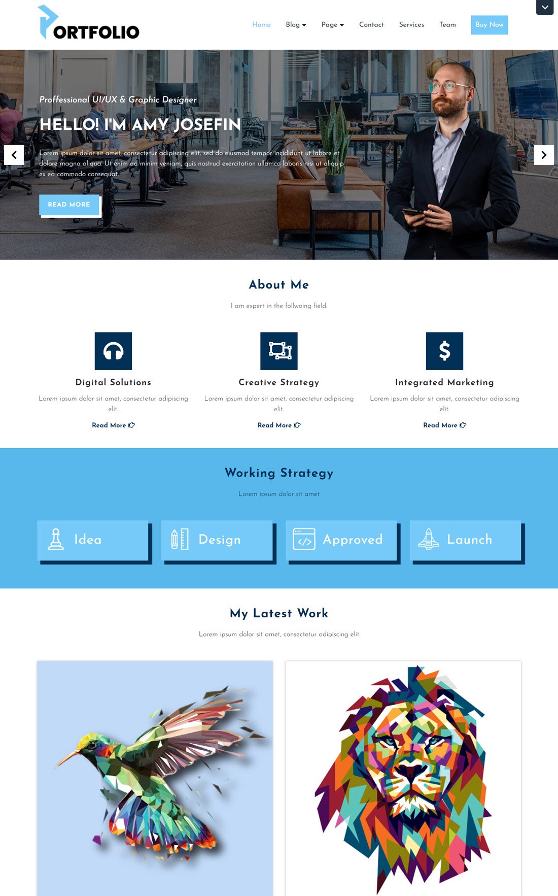 VW Portfolio WordPress Themes Example