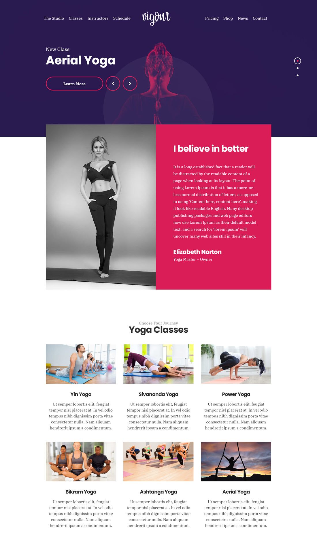 Vigour Yoga WordPress Themes Example