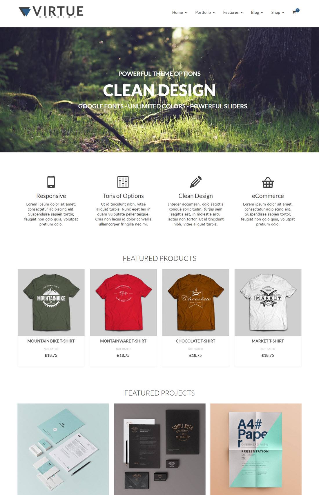 Virtue eCommerce WordPress Themes Example