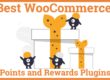 Best WooCommerce Points and Rewards Plugins