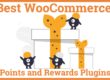 Best WooCommerce Points and Rewards Plugins